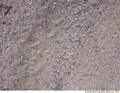 Photo of Mixed Textures